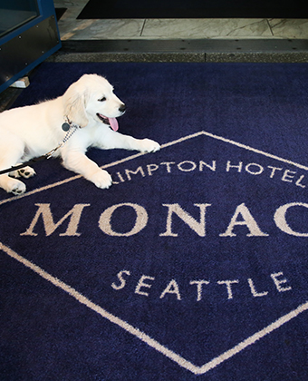 Pet-Friendly Hotels in Seattle